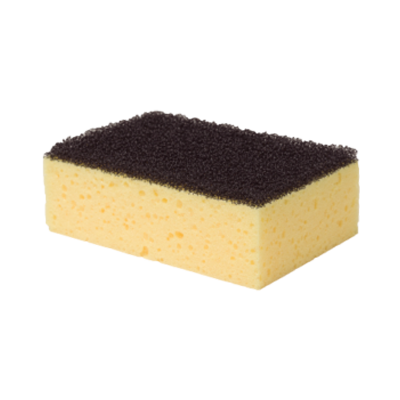 Esponja